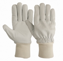 Driving Gloves (Unlined)